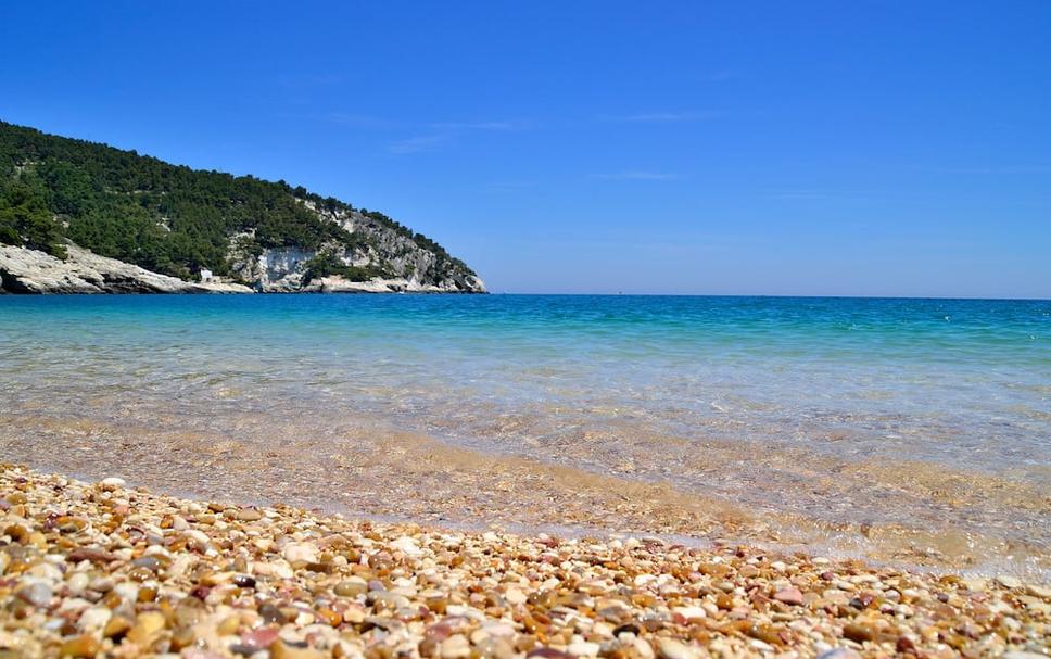 Beach Photo