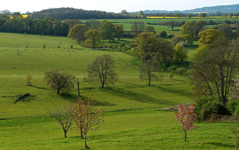 Outdoor view Photo