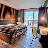 Amber Ski-in/out Hotel & Spa